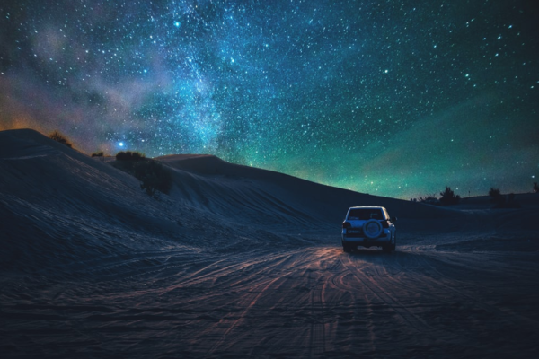 night safari