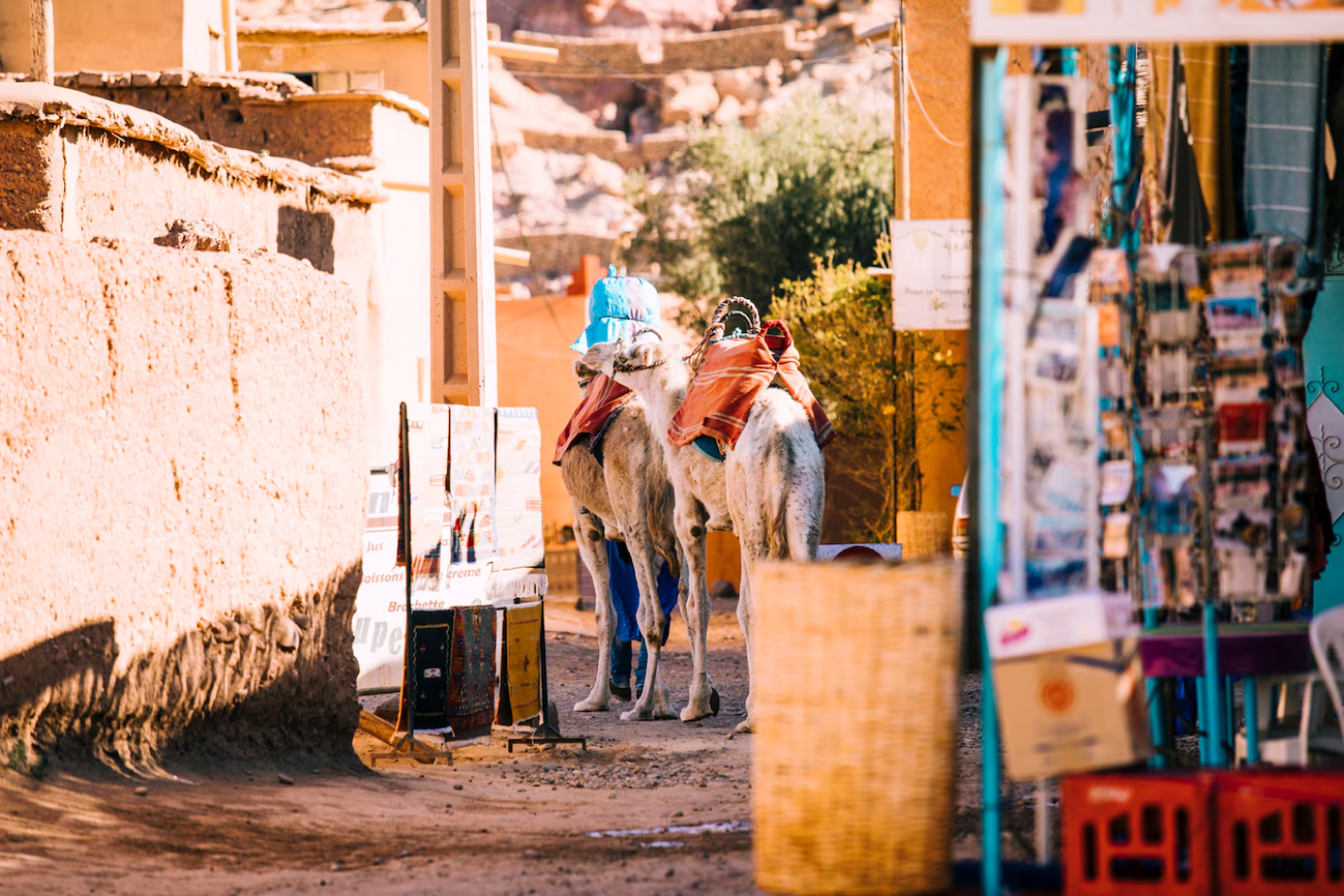Souq Waqif Walking Tour