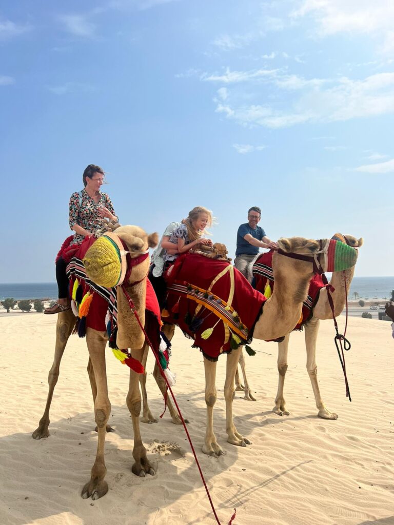 qatar camel ride copy