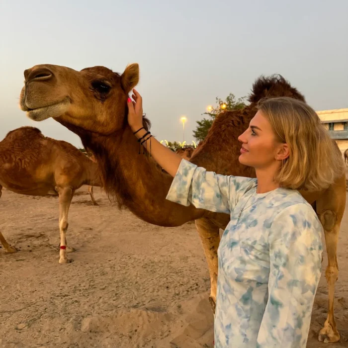 Night layover desert safari , Doha